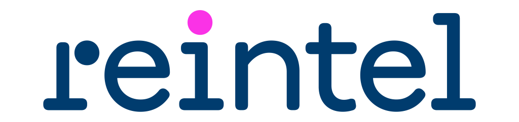 Logo Reintel 1 1024x242.png